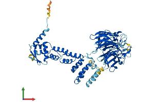AlphaFold protein structure predicition of Mouse Recombinant Ipp Protein, UniprotID P28575