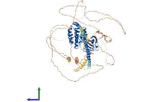 Protein Structure (PS) image for Mitogen-Activated Protein Kinase Kinase Kinase 12 (MAP3K12) (AA 1-859) protein (His tag) (ABIN7549288)
