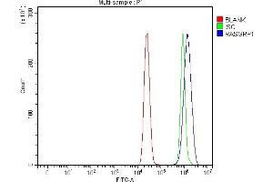 Flow Cytometry analysis of MCF-7 cells using anti-RASGRP1 antibody (ABIN7602498). (RASGRP1 抗体  (AA 8-678))