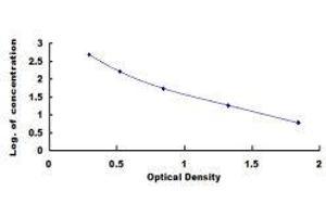 ELISA image for Endothelin 1 (EDN1) ELISA Kit (ABIN415024)