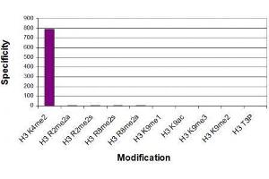 Histone H3K4me2 antibody (mAb) specificity tested by peptide array analysis. (Histone 3 抗体  (H3K4me2))