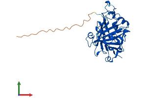 Protein Structure (PS) image for Carbonic Anhydrase VIII (CA8) (AA 1-291) protein (His tag) (ABIN7563054)