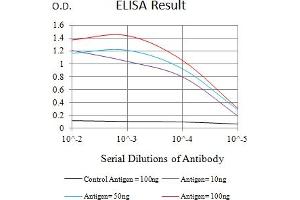 Black line: Control Antigen (100 ng),Purple line: Antigen (10 ng), Blue line: Antigen (50 ng), Red line:Antigen (100 ng) (CD97 抗体  (AA 419-552))