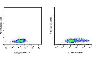 Detection of IFN-ү by flow cytometry in viable ferret spleen cells. (Interferon gamma 抗体  (PromoFluor 647 Premium))