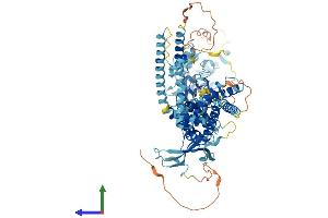 Protein Structure (PS) image for Transient Receptor Potential Cation Channel, Subfamily V, Member 2 (TRPV2) (AA 1-764) protein (His tag) (ABIN7555884)