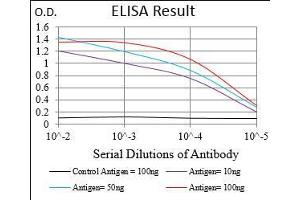 Black line: Control Antigen (100 ng), Purple line: Antigen(10 ng), Blue line: Antigen (50 ng), Red line: Antigen (100 ng), (MMEL1 抗体  (AA 1-107))