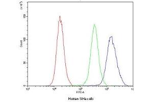 Flow Cytometry (FACS) image for anti-Nuclear Factor I/A (NFIA) (AA 180-224) antibody (ABIN5647218)