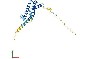 Protein Structure (PS) image for ADP-Ribosylation Factor-Like 2 Binding Protein (ARL2BP) (AA 1-163) protein (His tag) (ABIN7552175)