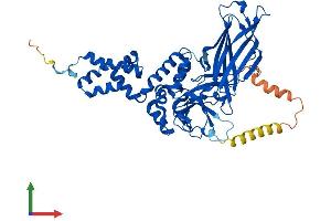 Protein Structure (PS) image for F-Box Protein 3 (FBXO3) (AA 1-471) protein (His tag) (ABIN7547532)
