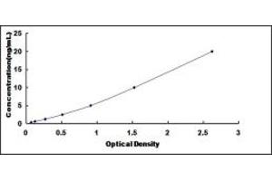 Typical standard curve (EML2 ELISA 试剂盒)