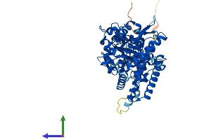 Protein Structure (PS) image for Cytochrome P450, Family 1, Subfamily A, Polypeptide 1 (CYP1A1) (AA 1-524) protein (His tag) (ABIN7562718)