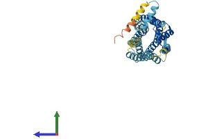 Protein Structure (PS) image for Chemokine (C-X-C Motif) Receptor 1 (CXCR1) (AA 1-350) protein (His tag) (ABIN7546891)