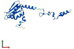 AlphaFold protein structure predicition of Human Recombinant MRPS25 Protein, UniprotID P82663