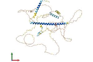 Protein Structure (PS) image for Shugoshin 1 (SGOL1) (AA 1-561) protein (His tag) (ABIN7555476)