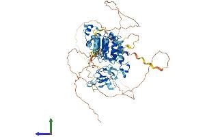 AlphaFold protein structure predicition of Human Recombinant FBXL19 Protein, UniprotID Q6PCT2