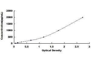 Typical standard curve (Granulin ELISA 试剂盒)