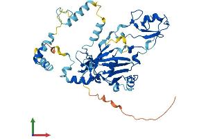 Protein Structure (PS) image for Small Nuclear RNA Activating Complex, Polypeptide 3, 50kDa (SNAPC3) (AA 1-411) protein (His tag) (ABIN7546185)