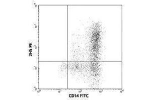 Flow Cytometry (FACS) image for anti-Chemokine (C-C Motif) Ligand 2 (CCL2) antibody (PE) (ABIN2663844) (CCL2 抗体  (PE))