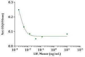 LIF, Mouse stimulates  cell differentiation using M1 cells.