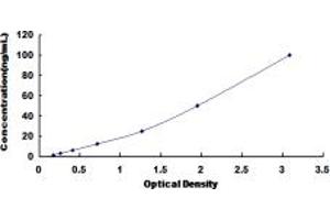 Typical standard curve (Lactate Dehydrogenase C ELISA 试剂盒)