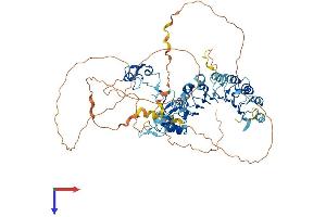 FBXL19 Protein (AA 1-694) (His tag)
