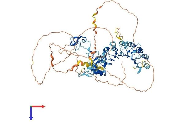 FBXL19 Protein (AA 1-694) (His tag)