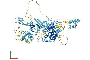 Protein Structure (PS) image for Minichromosome Maintenance Deficient 8 (MCM8) (AA 1-833) protein (His tag) (ABIN7564956)