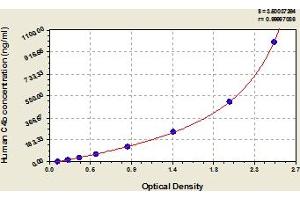 Typical Standard Curve