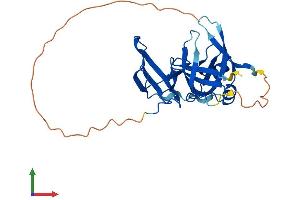 Protein Structure (PS) image for Spindlin Family, Member 2A (SPIN2A) (AA 1-258) protein (His tag) (ABIN7546410)