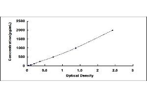 Typical standard curve (CMA1 ELISA 试剂盒)