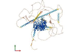 AlphaFold protein structure predicition of Human Recombinant HDAC4 Protein, UniprotID P56524