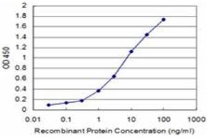 Detection limit for recombinant GST tagged LHX4 is approximately 0. (LHX4 抗体  (AA 208-306))