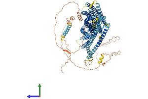 Protein Structure (PS) image for Ellis Van Creveld Syndrome (EVC) (AA 1-992) protein (His tag) (ABIN7553837)