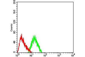 Flow Cytometry (FACS) image for anti-Cholinergic Receptor, Nicotinic, alpha 7 (Neuronal) (CHRNA7) (AA 52-259) antibody (ABIN5611363)