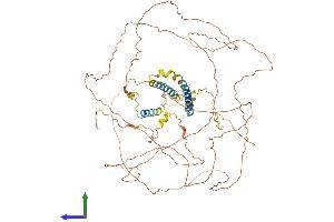Protein Structure (PS) image for Triadin (TRDN) (AA 1-693) protein (His tag) (ABIN7562139)
