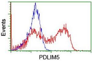 Flow Cytometry (FACS) image for anti-PDZ and LIM Domain 5 (PDLIM5) antibody (ABIN1500132) (PDLIM5 抗体)