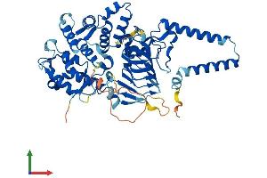 AlphaFold protein structure predicition of Mouse Recombinant Tbccd1 Protein, UniprotID Q640P7