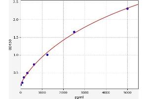 Cathepsin S (CTSS) ELISA Kit