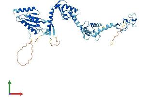 AlphaFold protein structure predicition of Human Recombinant RNF14 Protein, UniprotID Q9UBS8