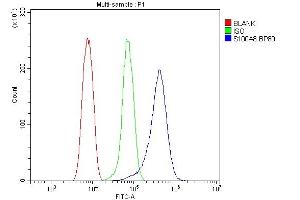 Flow Cytometry analysis of HEPA 1-6 cells using anti-S100A8 antibody (ABIN3042481). (S100A8 抗体  (AA 2-89))