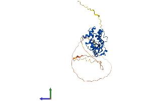AlphaFold protein structure predicition of Human Recombinant ISG20L2 Protein, UniprotID Q9H9L3