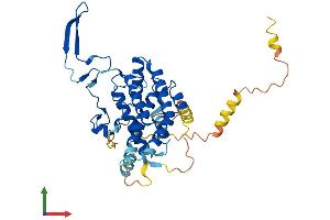 Protein Structure (PS) image for Organic Solute Carrier Partner 1 (OSCP1) (AA 1-389) protein (His tag) (ABIN7550536)