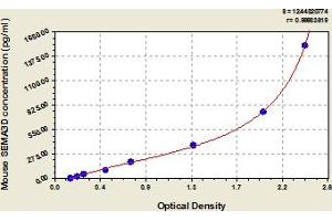 SEMA3D ELISA 试剂盒