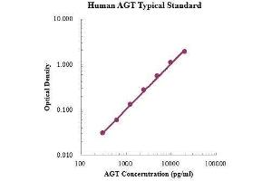 ELISA image for Angiotensinogen (serpin Peptidase Inhibitor, Clade A, Member 8) (AGT) ELISA Kit (ABIN3198395)