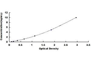 Typical standard curve (IGF2BP3 ELISA 试剂盒)