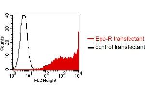 BOSC23 cells were transiently transfected with an expression vector encoding either Epo-R (red curve) or an irrelevant protein (control transfectant). (EPOR 抗体)