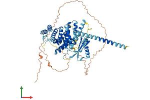 Protein Structure (PS) image for Spermatogenesis Associated 16 (SPATA16) (AA 1-571) protein (His tag) (ABIN7559165)