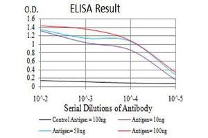 Black line: Control Antigen (100 ng),Purple line: Antigen (10 ng), Blue line: Antigen (50 ng), Red line:Antigen (100 ng) (ATRX 抗体  (AA 2311-2492))