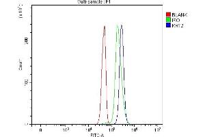 Flow Cytometry analysis of Jurkat cells using anti-Cytokeratin 2e/KRT2 antibody (ABIN7600644). (Keratin 2 抗体  (AA 213-332))