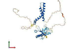 Protein Structure (PS) image for Deoxynucleotidyltransferase, Terminal, Interacting Protein 1 (DNTTIP1) (AA 1-329) protein (His tag) (ABIN7544338)